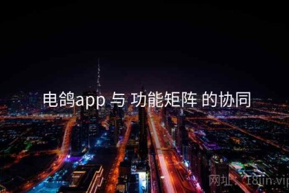 电鸽app 与 功能矩阵 的协同