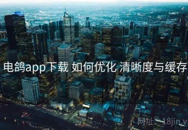 电鸽app下载 如何优化 清晰度与缓存
