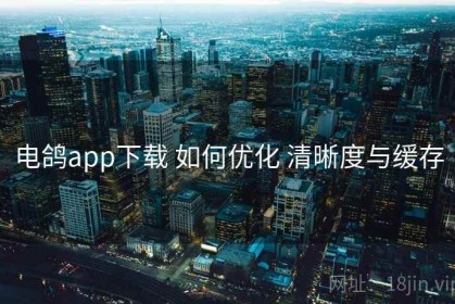 电鸽app下载 如何优化 清晰度与缓存