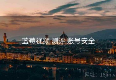 蓝莓视频 测评 账号安全