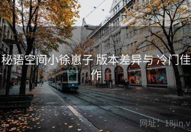 秘语空间小徐崽子 版本差异与 冷门佳作
