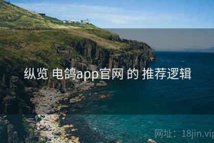 纵览 电鸽app官网 的 推荐逻辑