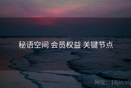 秘语空间 会员权益 关键节点