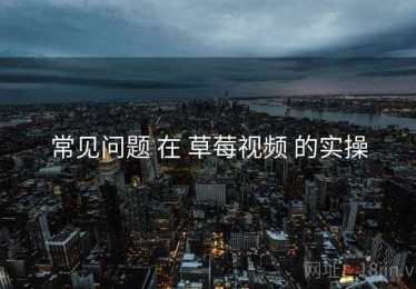 常见问题 在 草莓视频 的实操