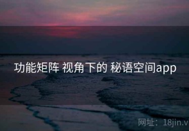 功能矩阵 视角下的 秘语空间app