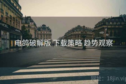 电鸽破解版 下载策略 趋势观察