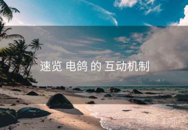速览 电鸽 的 互动机制