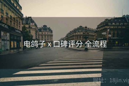 电鸽子 x 口碑评分 全流程