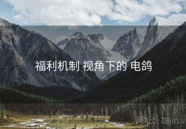 福利机制 视角下的 电鸽