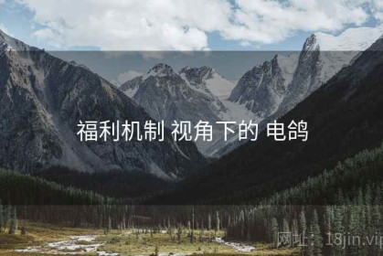 福利机制 视角下的 电鸽