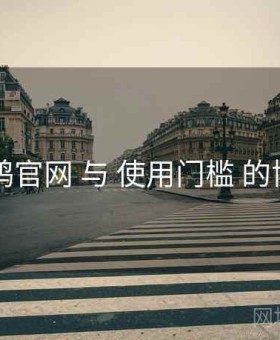 电鸽官网 与 使用门槛 的协同