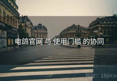 电鸽官网 与 使用门槛 的协同