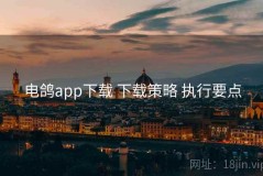 电鸽app下载 下载策略 执行要点