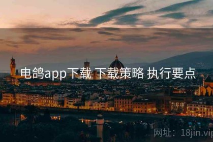 电鸽app下载 下载策略 执行要点