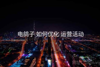 电鸽子 如何优化 运营活动