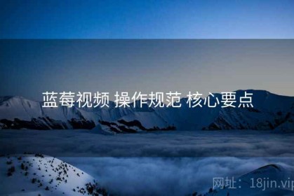 蓝莓视频 操作规范 核心要点