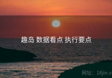 趣岛 数据看点 执行要点