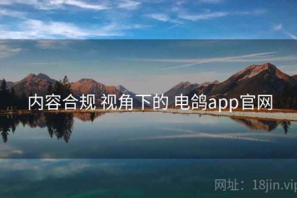 内容合规 视角下的 电鸽app官网