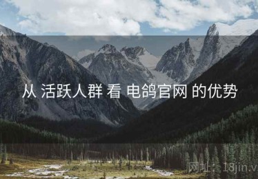 从 活跃人群 看 电鸽官网 的优势