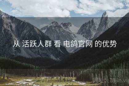 从 活跃人群 看 电鸽官网 的优势