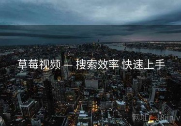 草莓视频 — 搜索效率 快速上手