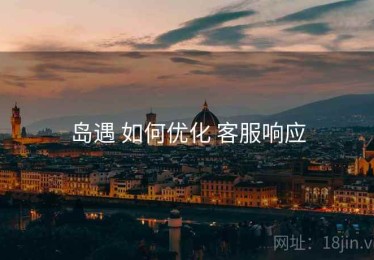 岛遇 如何优化 客服响应