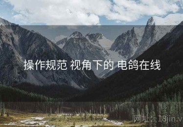 操作规范 视角下的 电鸽在线