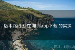 版本路线图 在 电鸽app下载 的实操