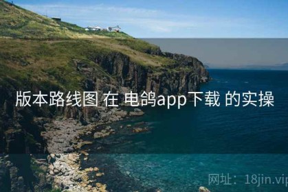 版本路线图 在 电鸽app下载 的实操