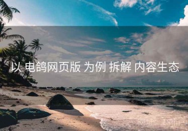 以 电鸽网页版 为例 拆解 内容生态