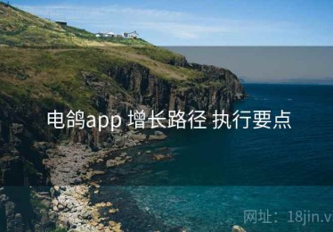 电鸽app 增长路径 执行要点