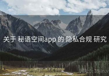 关于 秘语空间app 的 隐私合规 研究