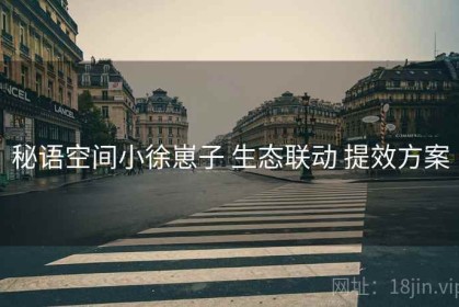 秘语空间小徐崽子 生态联动 提效方案