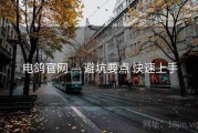 电鸽官网 — 避坑要点 快速上手