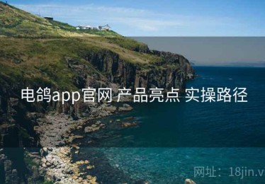 电鸽app官网 产品亮点 实操路径