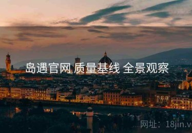 岛遇官网 质量基线 全景观察