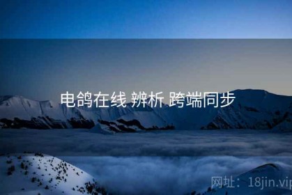 电鸽在线 辨析 跨端同步