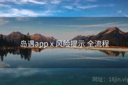 岛遇app x 风险提示 全流程