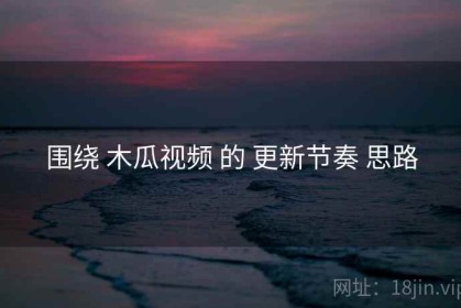 围绕 木瓜视频 的 更新节奏 思路