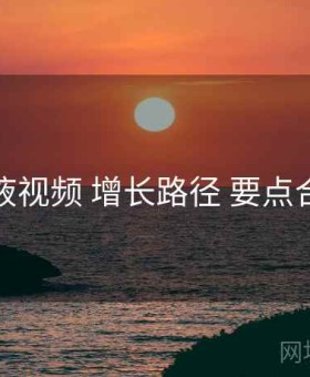 爱液视频 增长路径 要点合辑