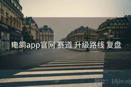 电鸽app官网 赛道 升级路线 复盘