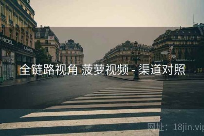 全链路视角 菠萝视频 - 渠道对照