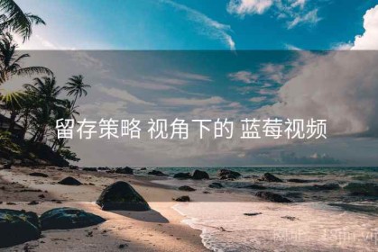 留存策略 视角下的 蓝莓视频