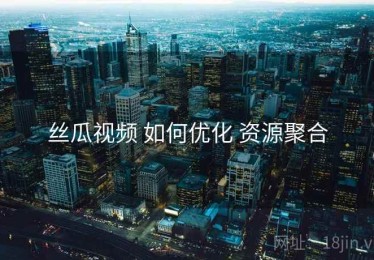 丝瓜视频 如何优化 资源聚合
