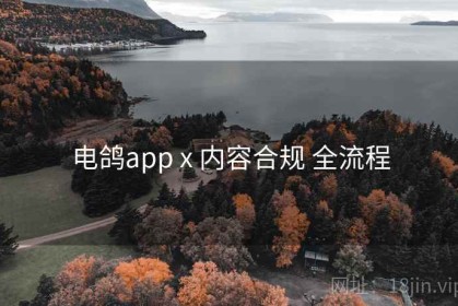 电鸽app x 内容合规 全流程