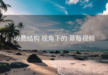 收费结构 视角下的 草莓视频
