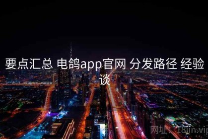 要点汇总 电鸽app官网 分发路径 经验谈