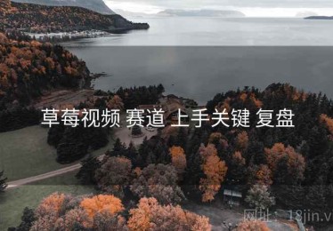草莓视频 赛道 上手关键 复盘
