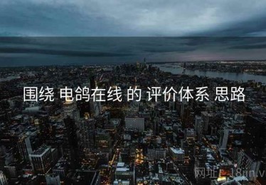 围绕 电鸽在线 的 评价体系 思路
