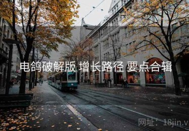 电鸽破解版 增长路径 要点合辑